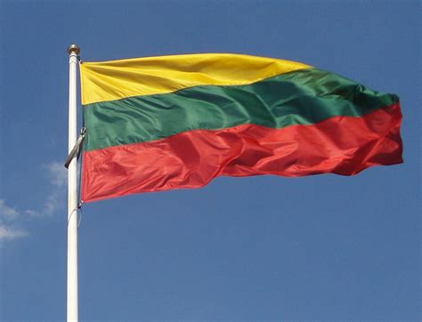 Lietuvos vėliava Sausio 13-osios minėjimo metu