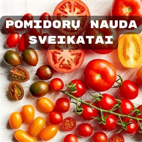 Pomidorų likopeno nauda sveikatai infografika