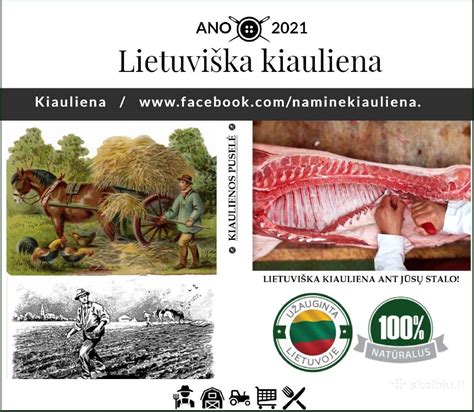 Lietuviškos kiaulienos ūkis