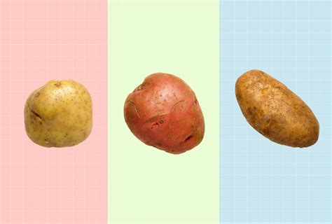 Įvairių veislių bulvės: Russet, Yukon Gold, raudonosios bulvės
