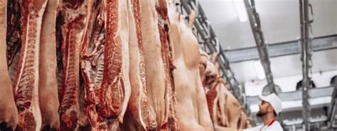 Arklių skerdimas ir mėsos perdirbimas