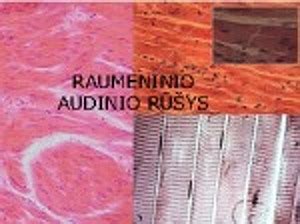 Raumeninio audinio struktūra