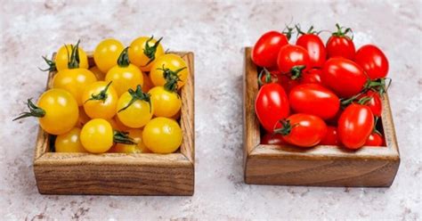 Įvairių veislių pomidorai: raudoni, geltoni, vyšniniai, romos tipo