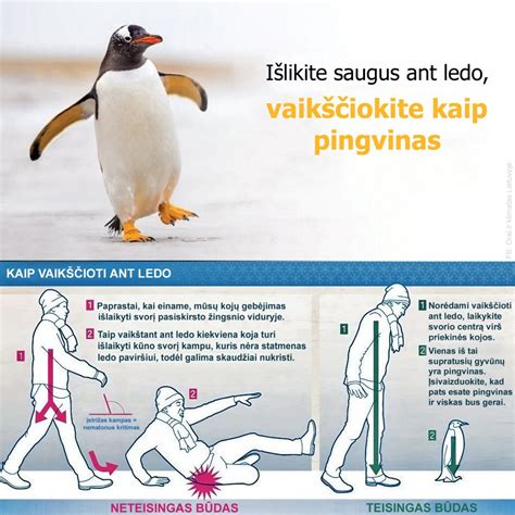 Saugumo ženklai ir naudojimo patarimai ant greitpuodžio
