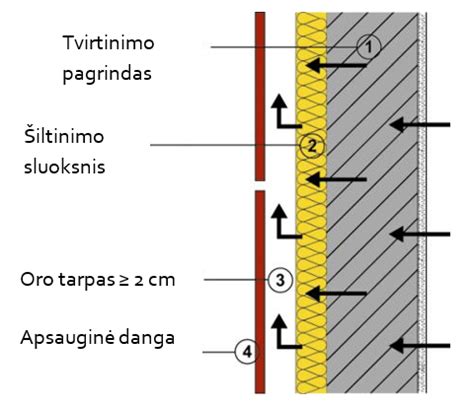 Scheminis kiaušinio pjūvis su pažymėtu oro tarpu