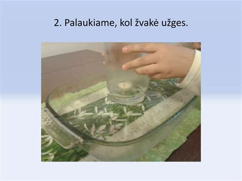 Kiaušinio plūdrumo bandymas vandenyje