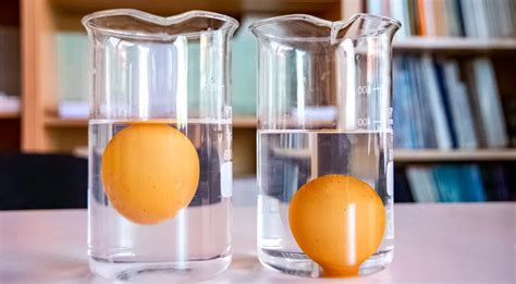 Šviežias ir senas kiaušinis vandenyje