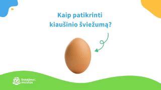 Kaip patikrinti kiaušinio šviežumą vandens testu