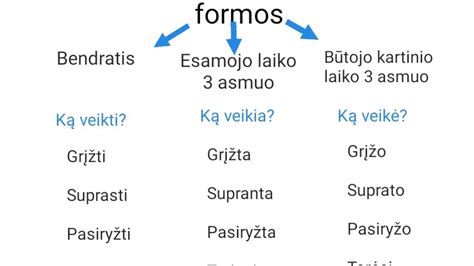Torto piešimo pagrindinės formos ir sluoksniai