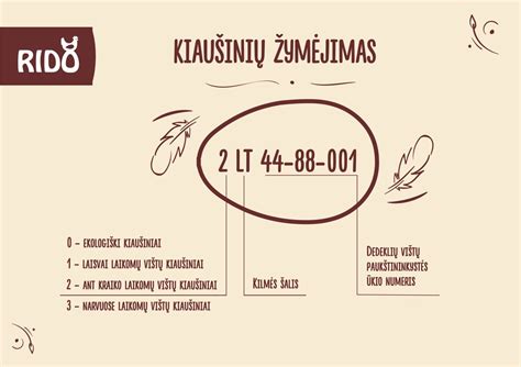 Schema su kiaušinių žymėjimo kodais