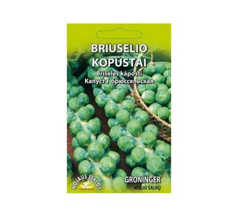 Briuselio kopūstų istorija ir kilmė žemėlapyje