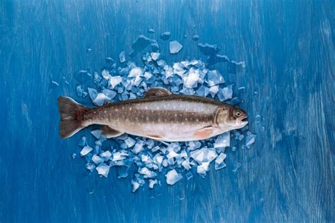 Žuvies auginimo verslo modeliai Lietuvoje