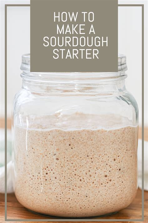Sourdough starter (raugas)