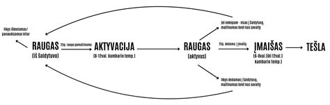 Raugo gaminimo schema
