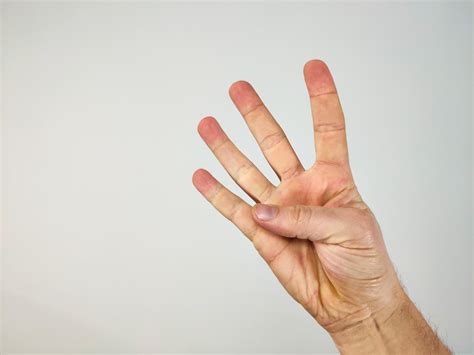 Rankos naudojimas porcijos dydžiui nustatyti