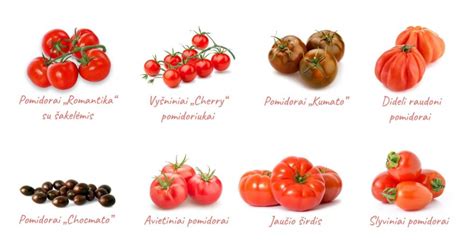 Įvairios pomidorų veislės