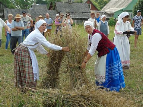 Rugiapjūtė laukuose