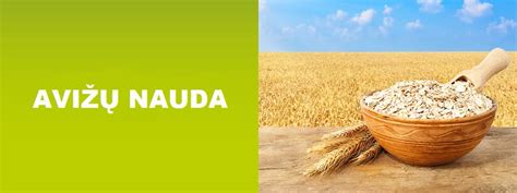 Infografika: Avižų nauda organizmui