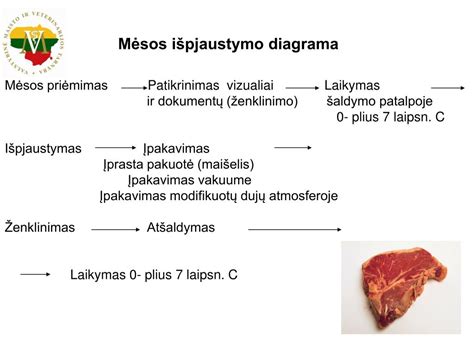 Mėsos išpjaustymo schema