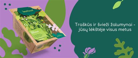 Įvairūs prieskoniai ir švieži žalumynai sriubai pagardinti