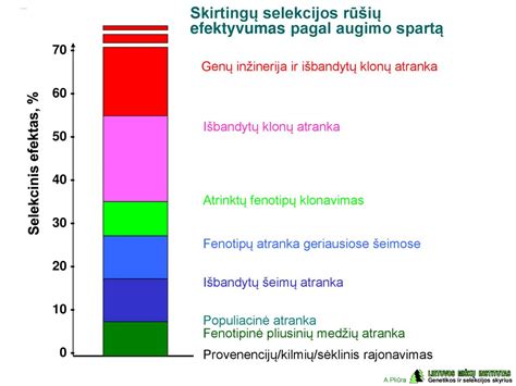 Skirtingų kelmučių rūšių palyginimas ir augimo vietos
