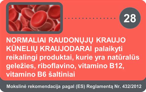 Vitamino B12 ir geležies šaltiniai
