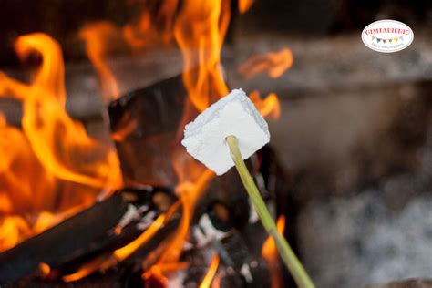 zefyrai kepantys ant laužo