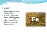 Geležies funkcijos organizme