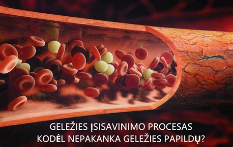 Geležies papildų vartojimo gairės