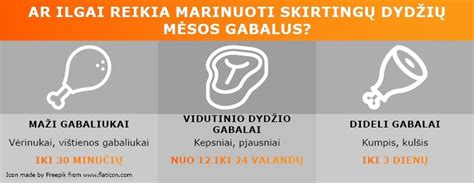 Skirtingų mėsos rūšių kepimo laikas