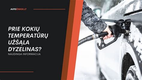 Skirtingų aliejų smilkimo temperatūrų palyginimas (infografika)
