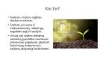 Makroelementų pasiskirstymas ir jų kalorinė vertė