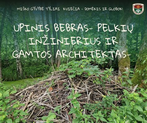 Izimangalizo pelkių parko begemotai