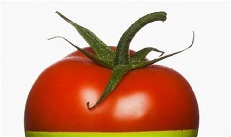 Pomidoras, pažeistas viršūninio puvinio
