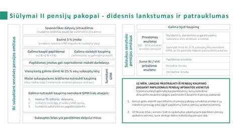 Lietuvos pensijų sistemos vizualizacija