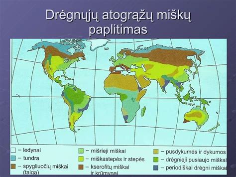 Atogrąžų miškai Pietryčių Azijoje