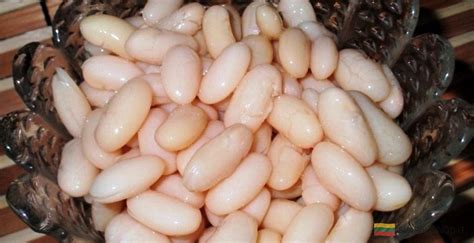 procesas, kaip virti pupeles