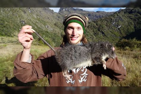 Patagonijos mara natūralioje aplinkoje