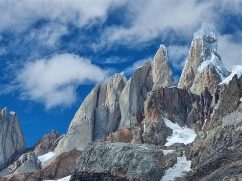 Patagonijos maros šeimos gyvenimas urve