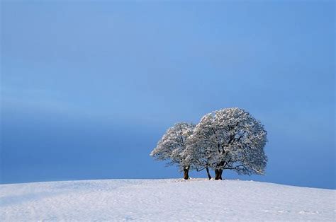 Pietų Korėjos žiemos peizažas kalnuose