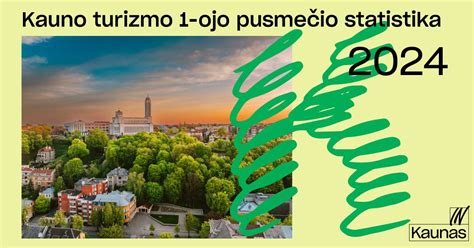 Statistika apie svetainės lankytojus