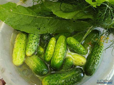 baltymų plakimas šaltuoju ir šiltuoju būdu