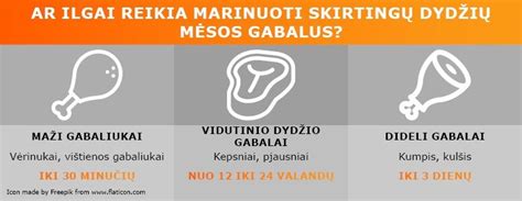 Skirtingų rūšių maltos mėsos pasirinkimas