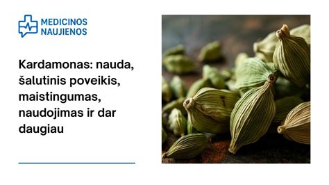 Kalakutienos nauda sveikatai ir maistingumas
