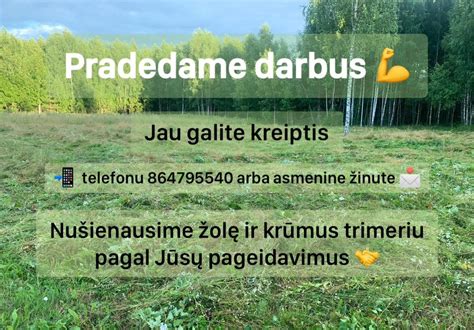 Arboristų darbas prižiūrint senus medžius
