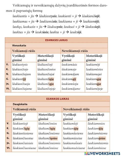 Programų dalyviai savanoriaudami mokosi ir keliauja