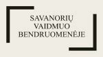 Savanorių veikla Afrikos bendruomenėje