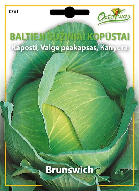 Kopūstų sėklos