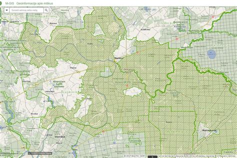 Australijos miškų gaisrų paveiktos teritorijos žemėlapis, išskiriant NSW