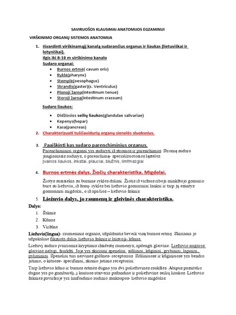 Virškinimo sistemos schema, pabrėžianti skrandį ir gleivinę